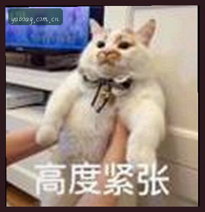 孙浩